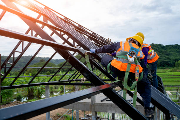Best Metal Roofing Contractor  in Dubuque, IA
